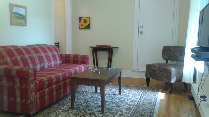 Alvin's Charming 1 bdrm apt in old Saint John
