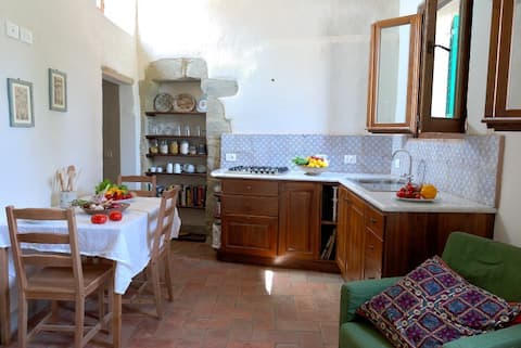 Gorgeous, light apartment in Tuscan hilltown