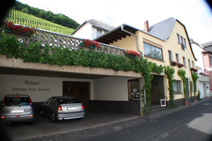 Private room with 1 bedrooms in Mosel Valley - Weingut Hermann-Josef Schmitz