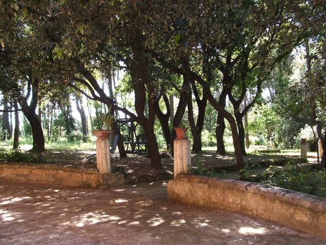 Villa with swimmingpool (whole house) gallery image 3