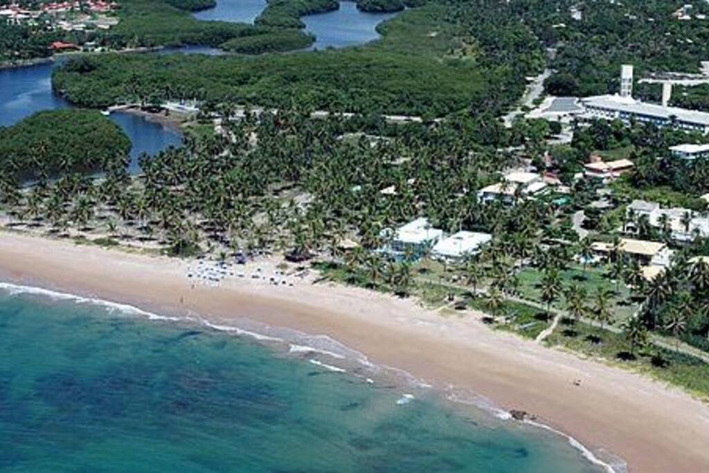 The area