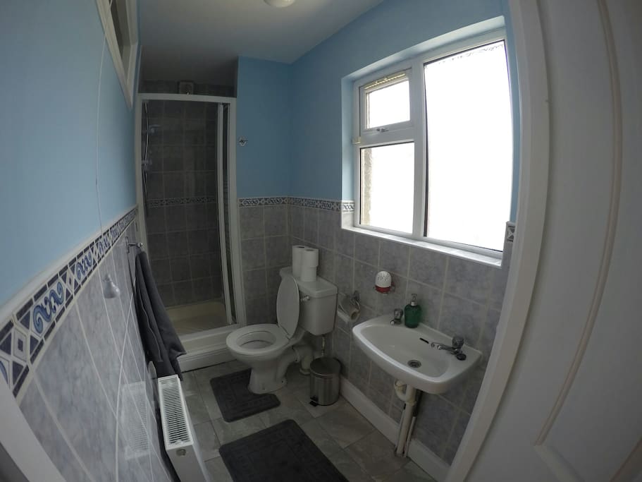 bathroom with shower. (better view)