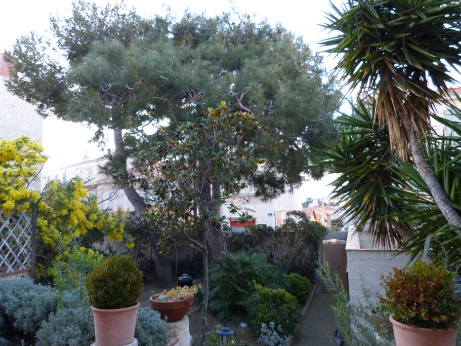 Le jardin vue de la terrasse et de l'entrée principale de la maison