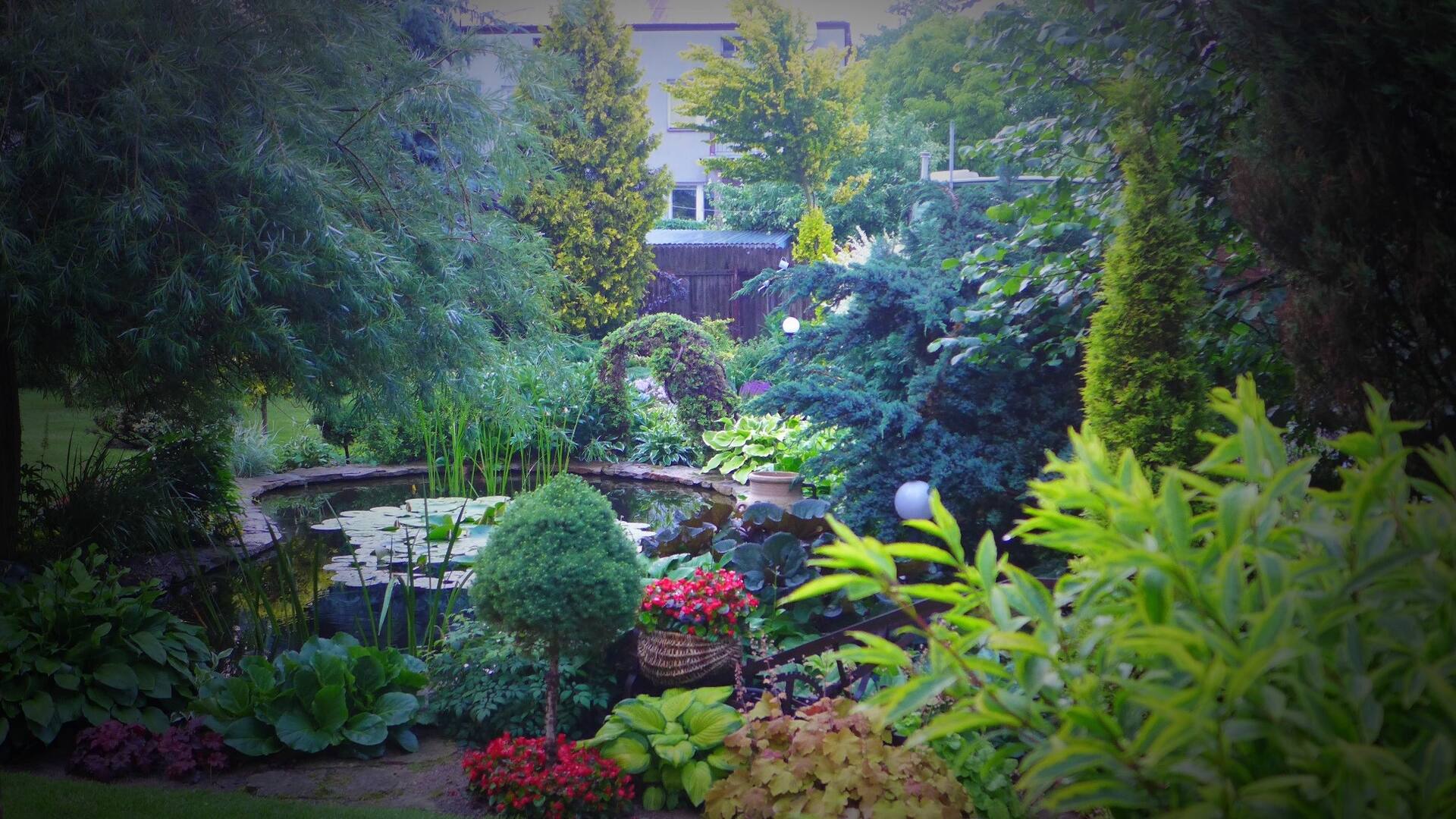 Apartment with garden view