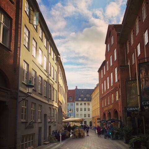 Lux penthouse 140 m2, in the heart of Copenhagen