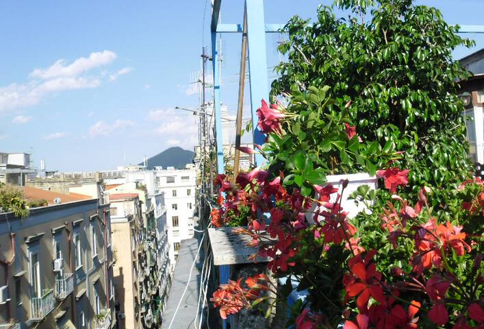 Natale a Napoli, Quartieri Spagnoli APT + Terrace gallery image 5