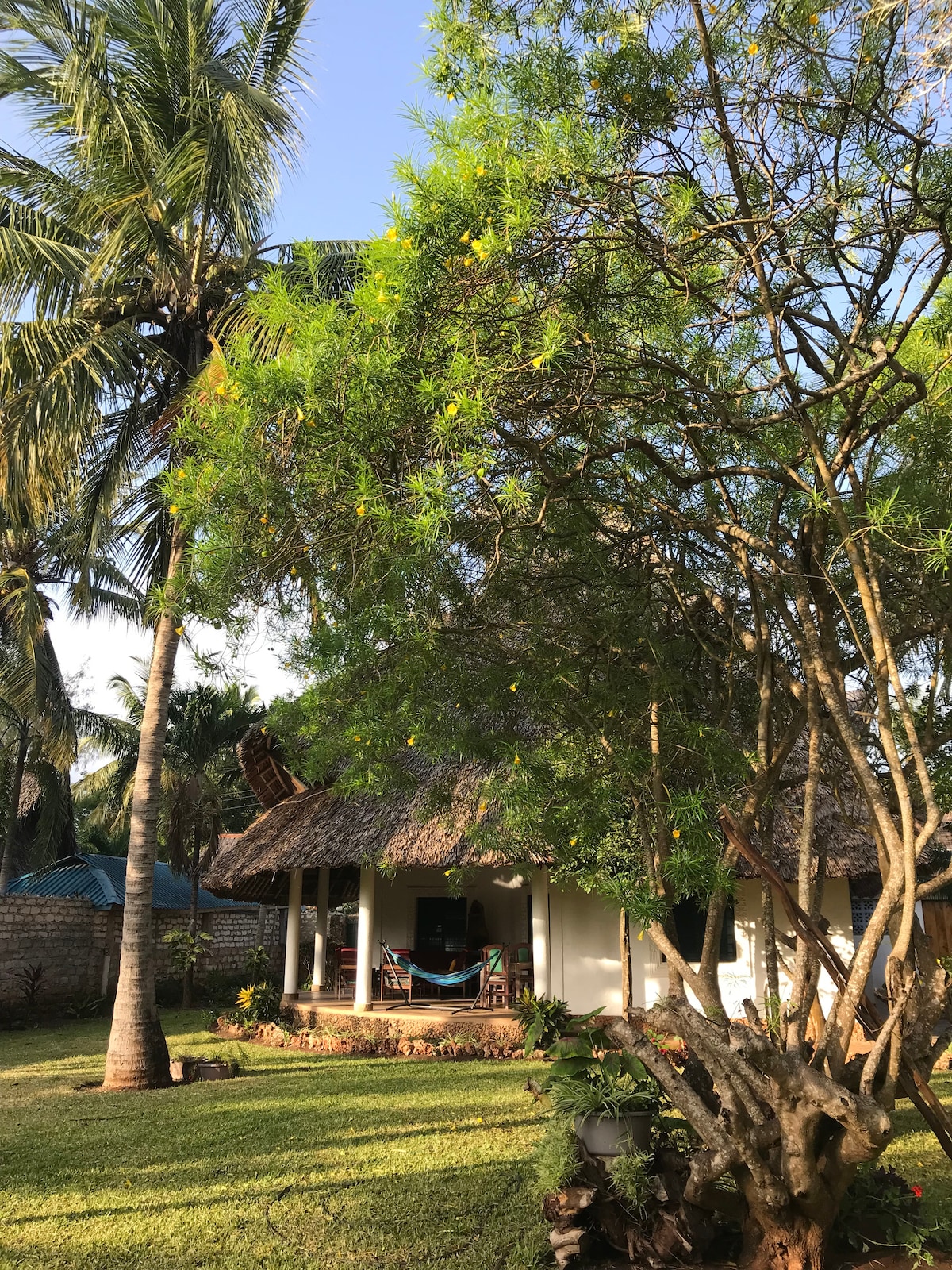 A quaint cottage is nestled among lush greenery, featuring a thatched roof and a welcoming porch. Tall palm trees and vibrant plants surround the home, while a hammock is seen hanging nearby, suggesting a relaxing outdoor atmosphere.