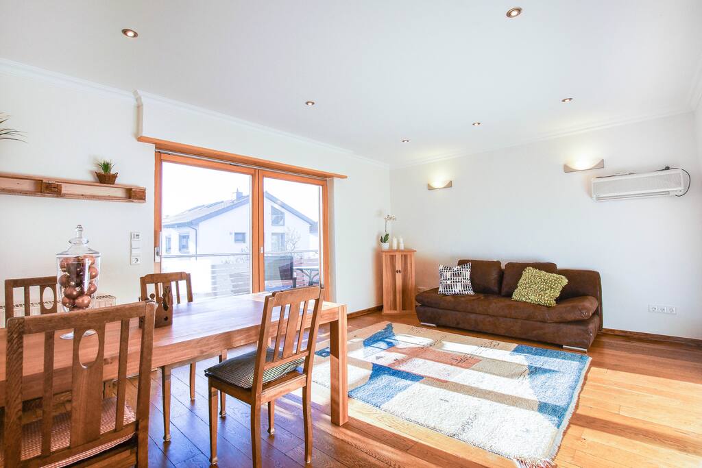 Wohnzimmer mit bequemen Schlafsofa und Südbalkon