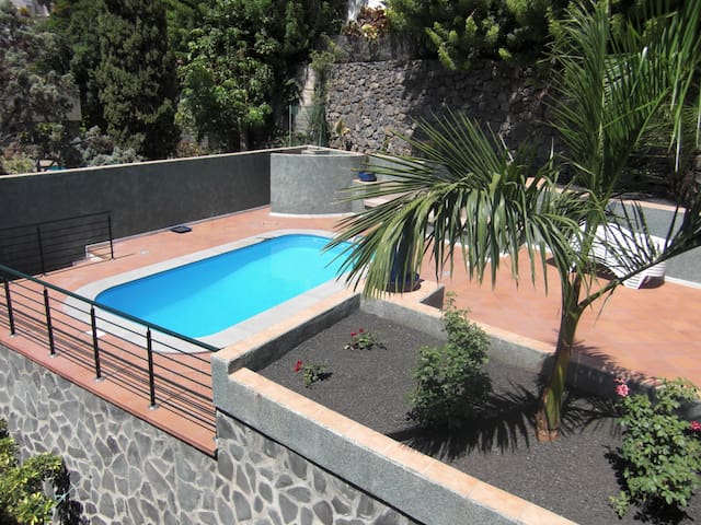 S/C Centro, apartamento 1 dormitorio