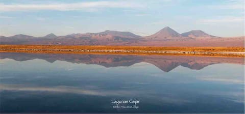 6. Lodge Cejar, equipped for 6 people
