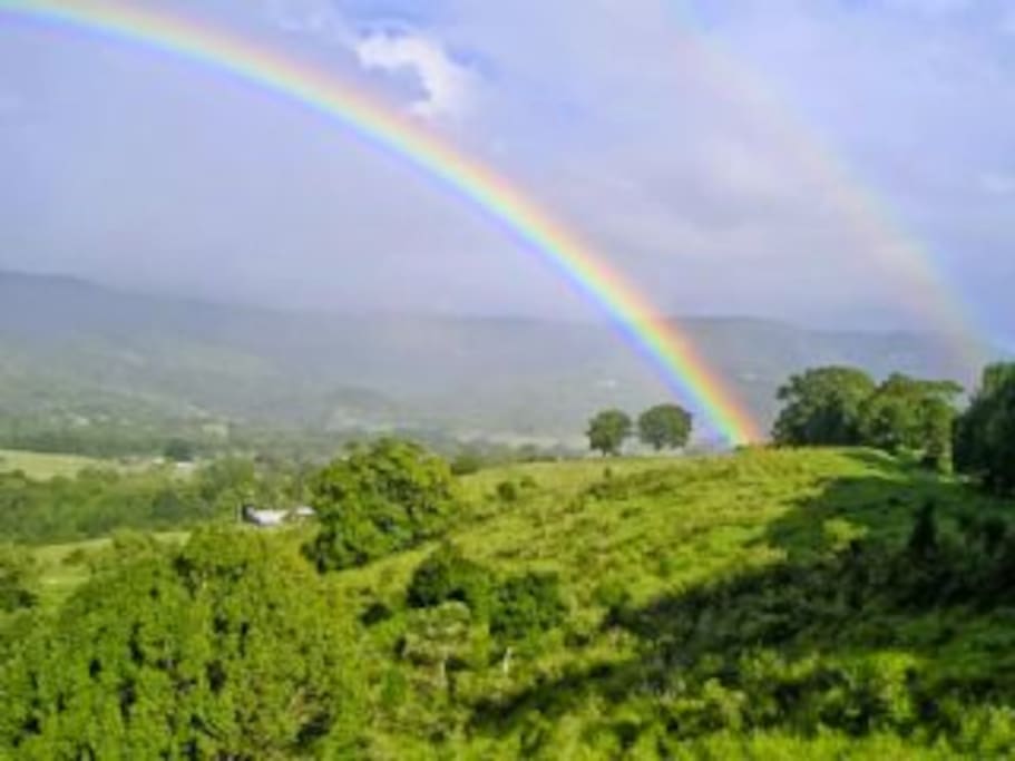 Rainbows in Mullum Creek Valley
