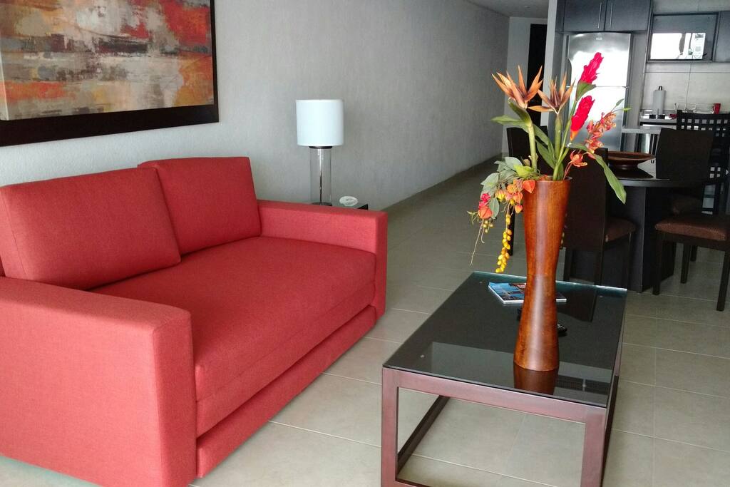 Sofa bed/ Sofá cama en la Sala