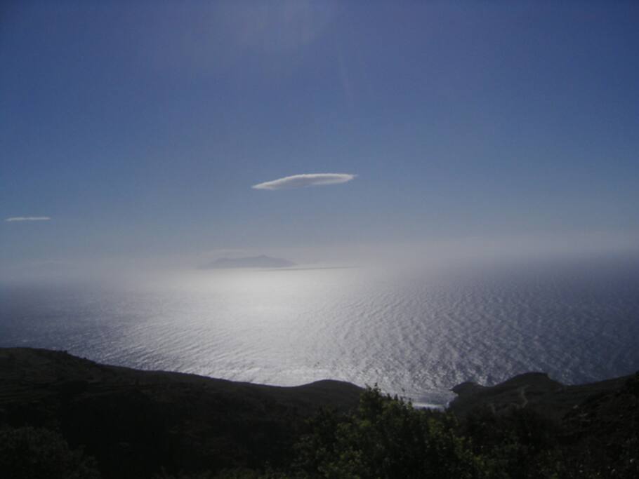 The view