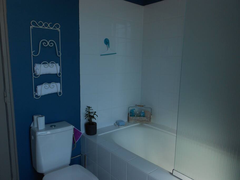 Salle de bain avec WC