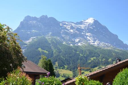 2-Zimmer-Gästehaus 40m2, inkl. W-LAN, sehr zentral