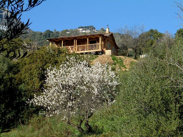 La Chozita, a wooden chalet in the mountains