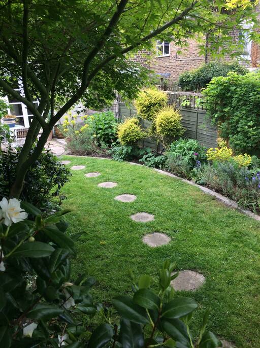 Garden with lawn