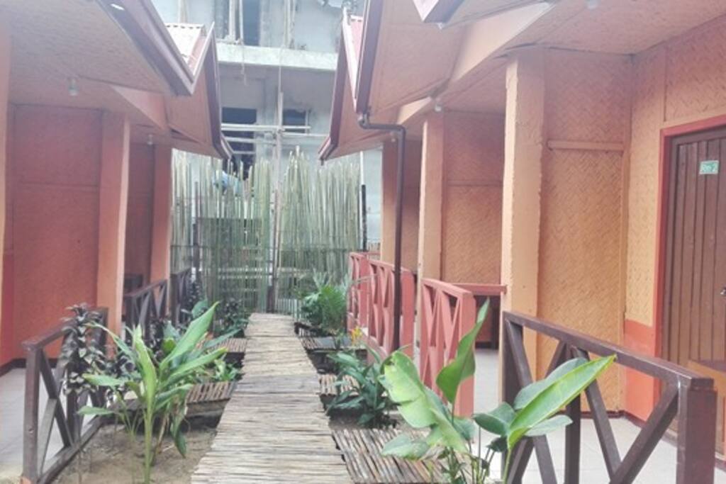 Bamboo Pathways