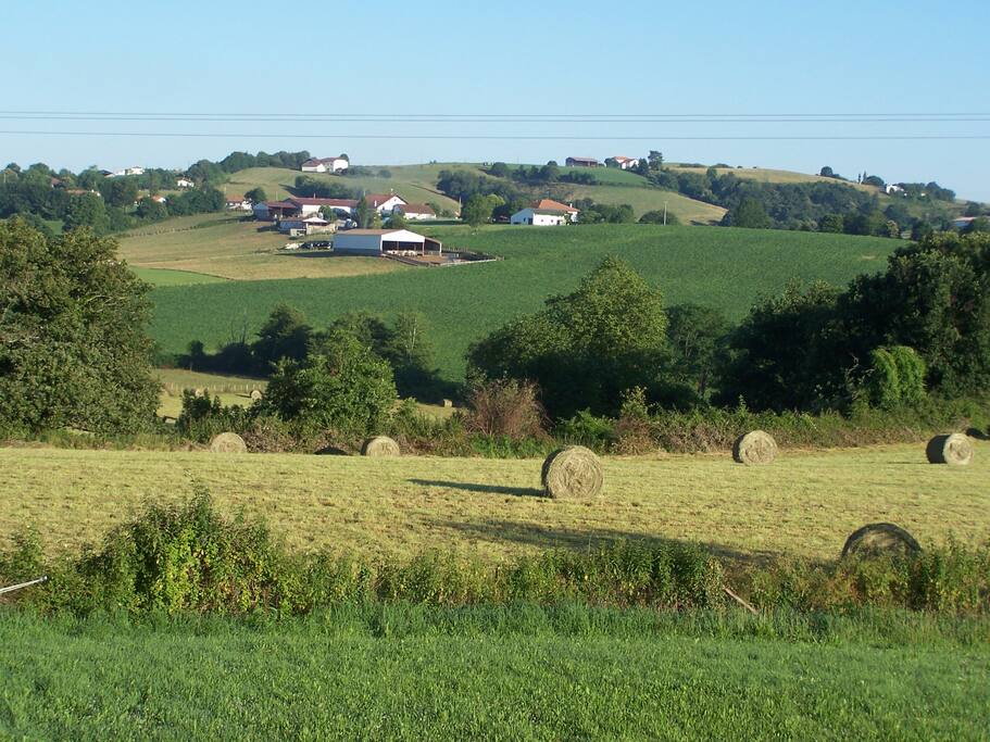 autour d'Iribarnia