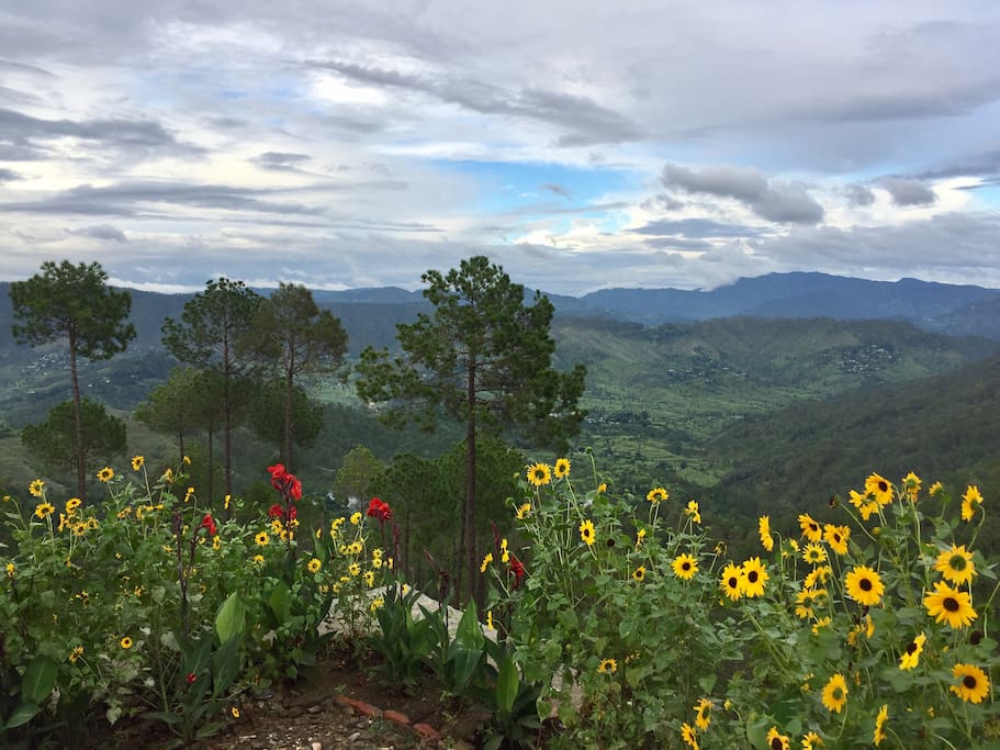 Valley View
