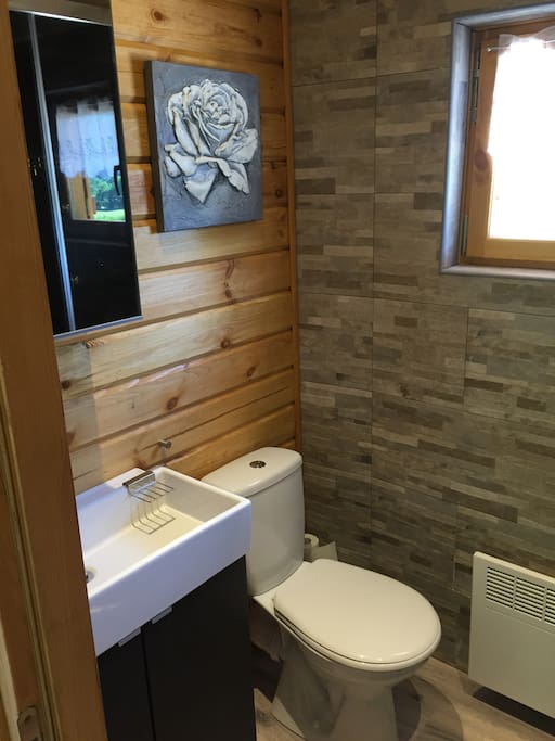 Salle d'eau avec vasque , WC et douche