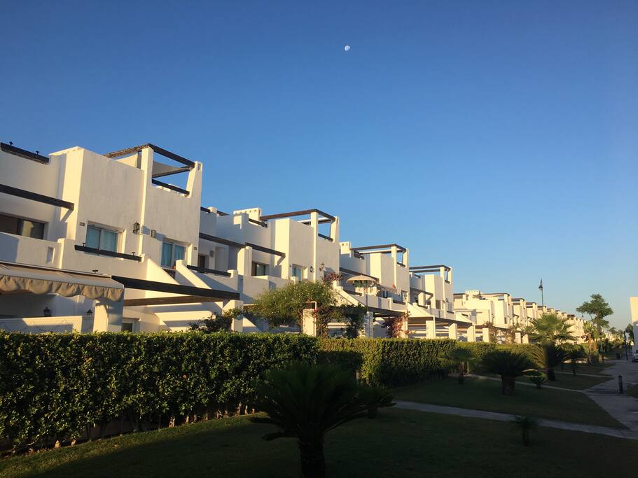 External surroundings