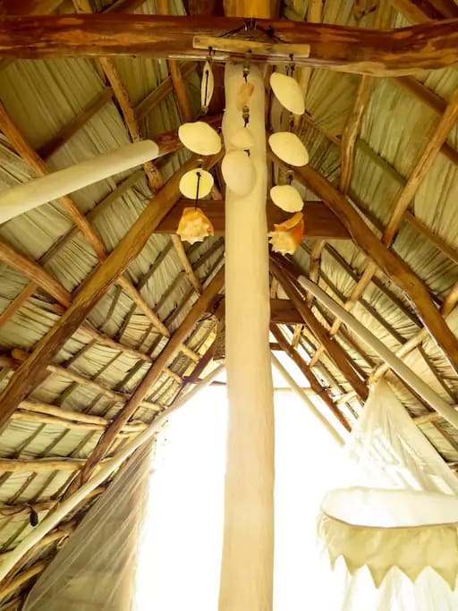 Decorations with natural elements