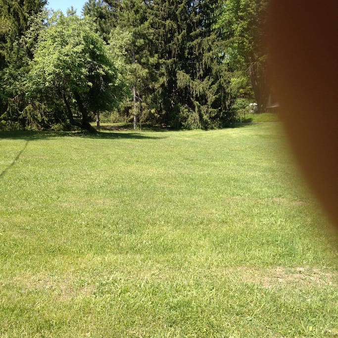 How about this spot?