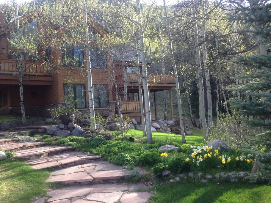 Springtime walkway up to the front door.