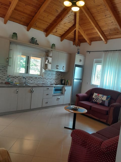 Successful Airbnb property: Helen apartment with sea view in Lukovë