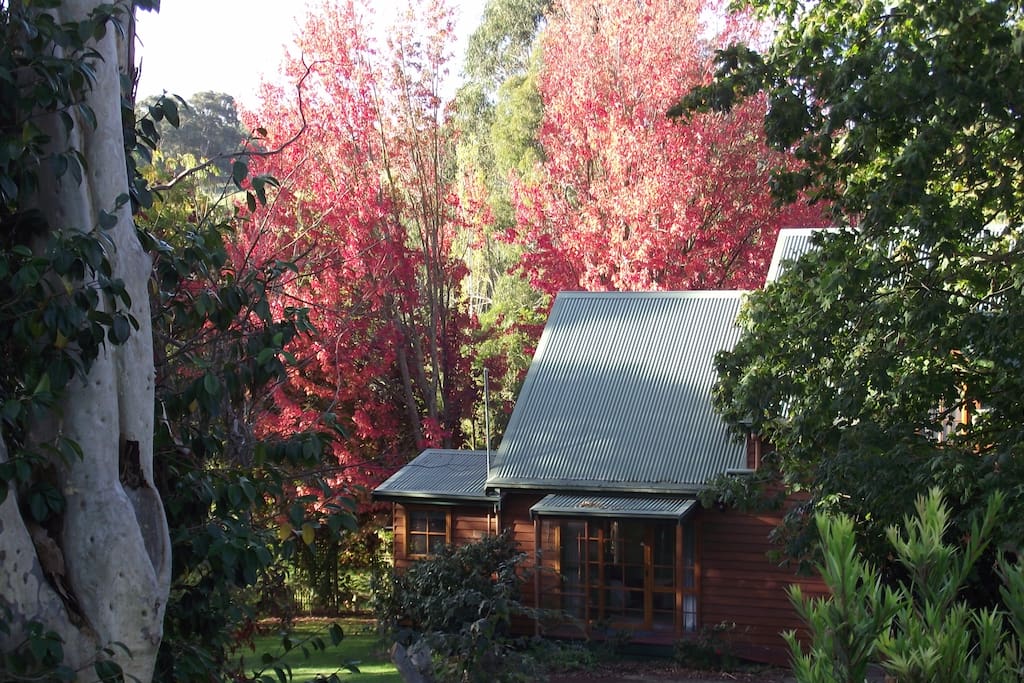 Cottage in autumn