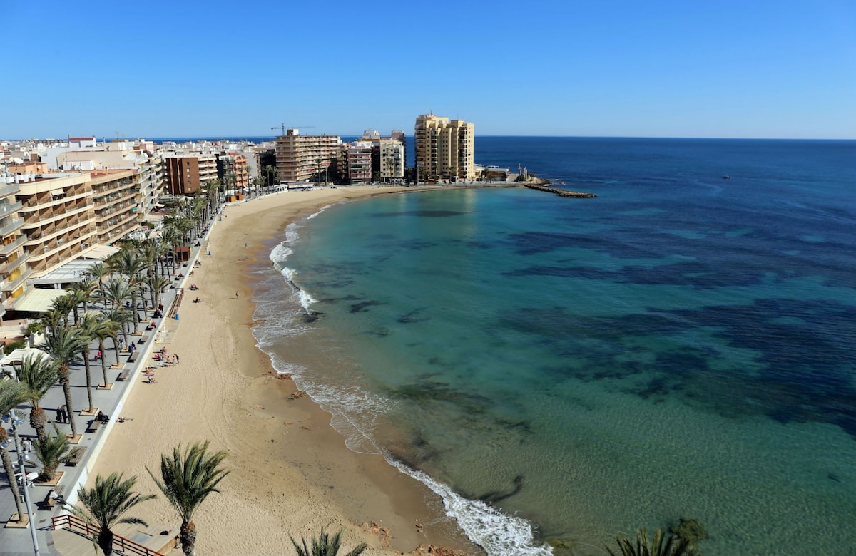 A scenic view showcases a curved beach bordered by calm waters. Palm trees line the promenade, leading to a vibrant coastal town with high-rise buildings in the background. The clear blue sky complements the serene atmosphere of the shoreline and tranquil sea.