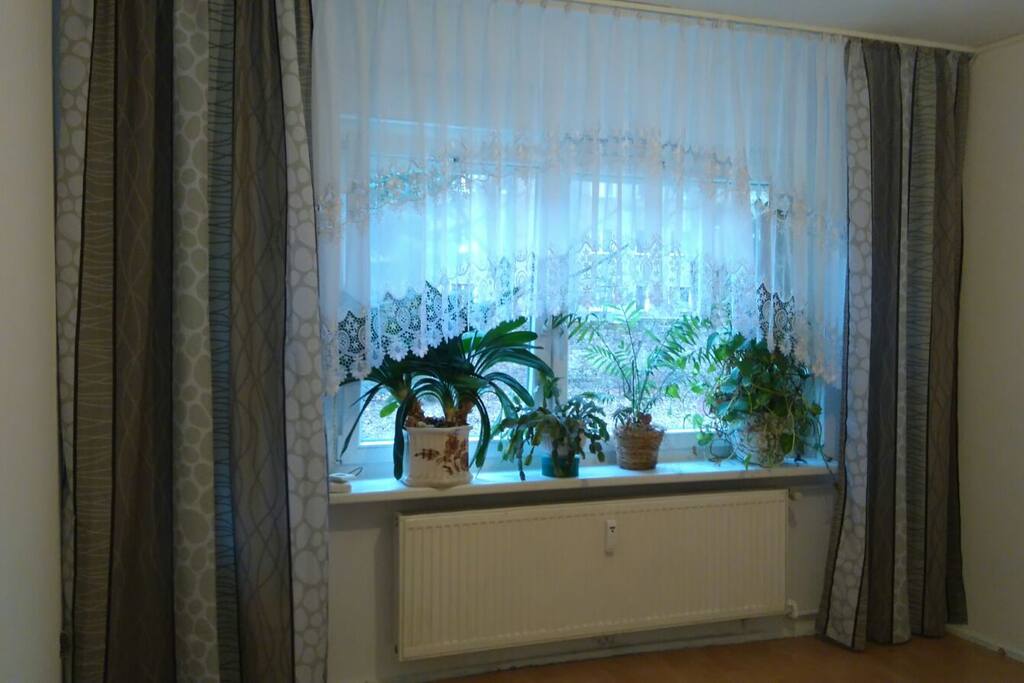 Das Gästezimmerfenster