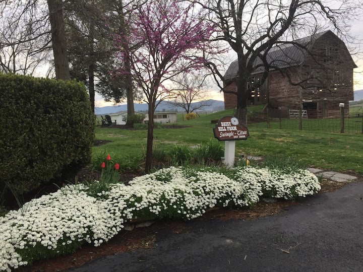 Top 10 Airbnb Vacation Rentals In Waynesboro, Virginia Updated 2024