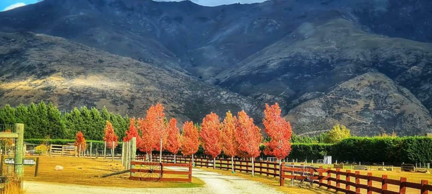 Country Lifestyle Near Arrowtown 3
