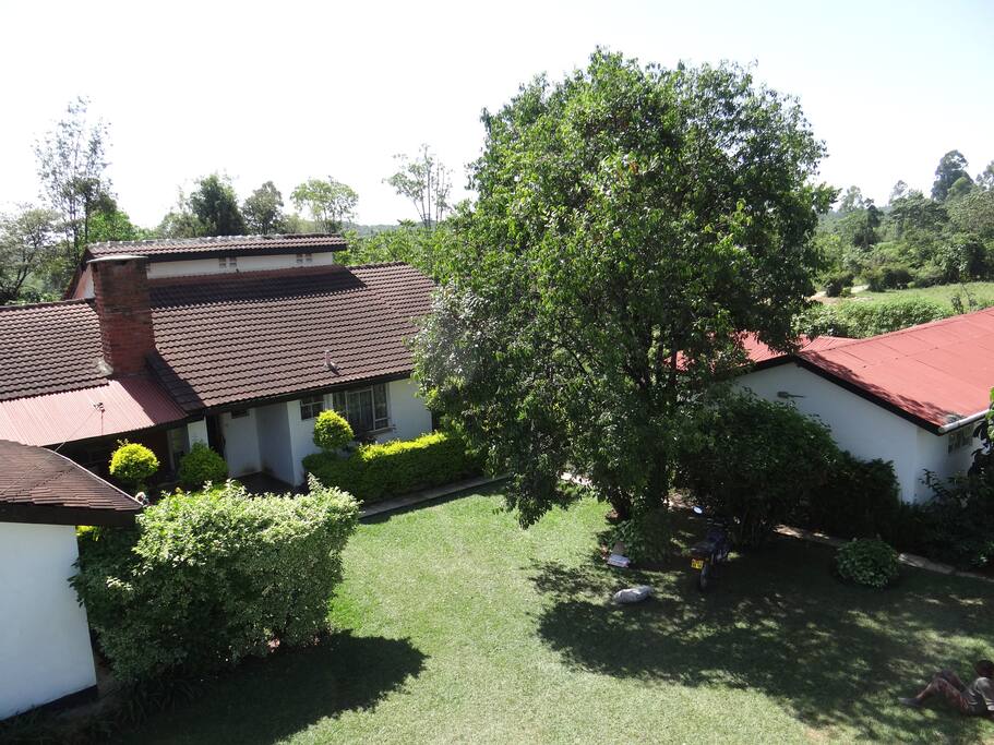 Ariel View of Ada's Place
