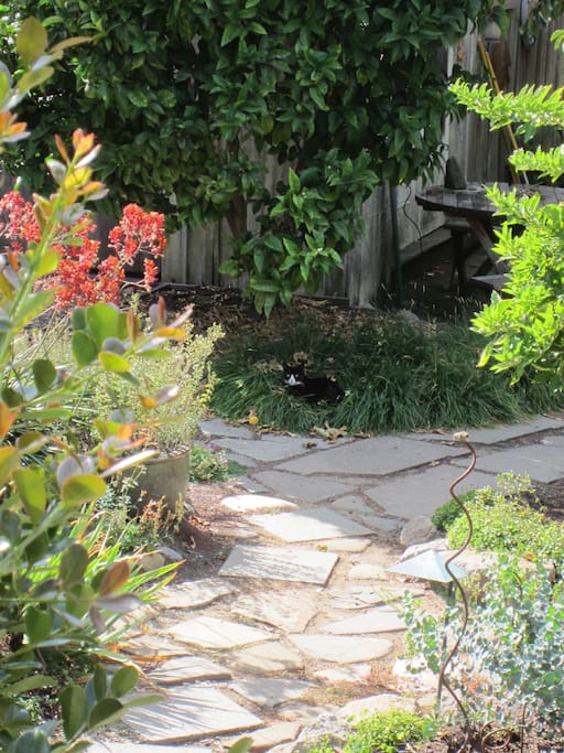 The path to the tent