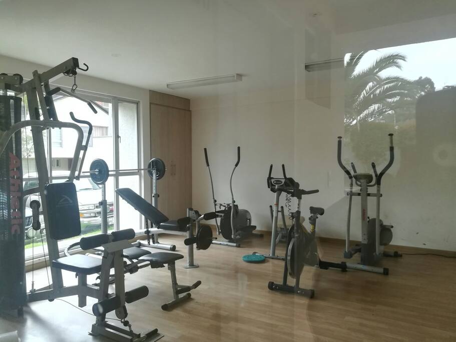 Gimnasio