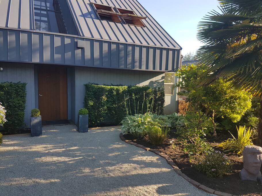 Front Garden / Entry