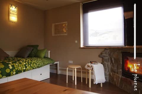 Puebla de Lillo Apartment 15 km from San Isidro