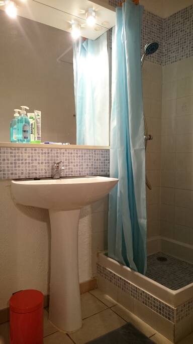 Salle d'eau indépendante (douche/vasque/WC et sèche serviette électrique)