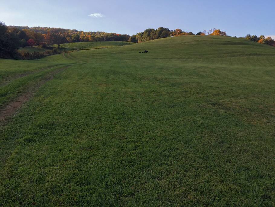 Scott Hill Cabin 2 Cabins for Rent in Shady Valley, Tennessee