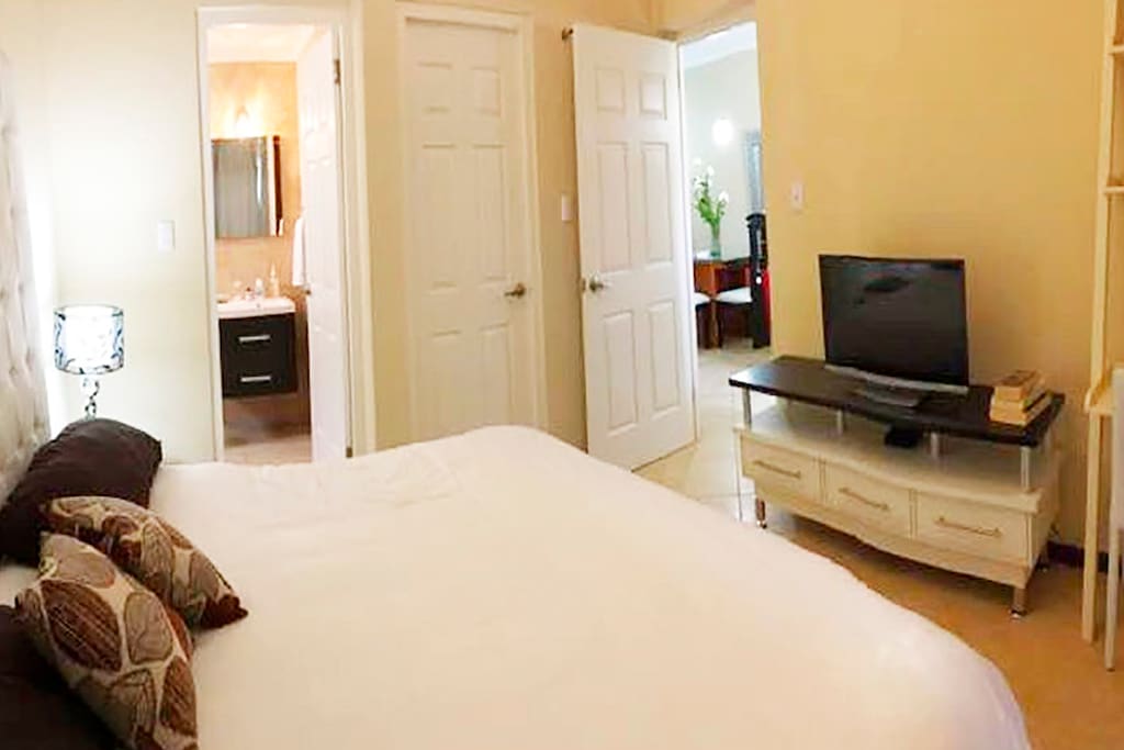 Main bedroom with private bathroom, TV and closet