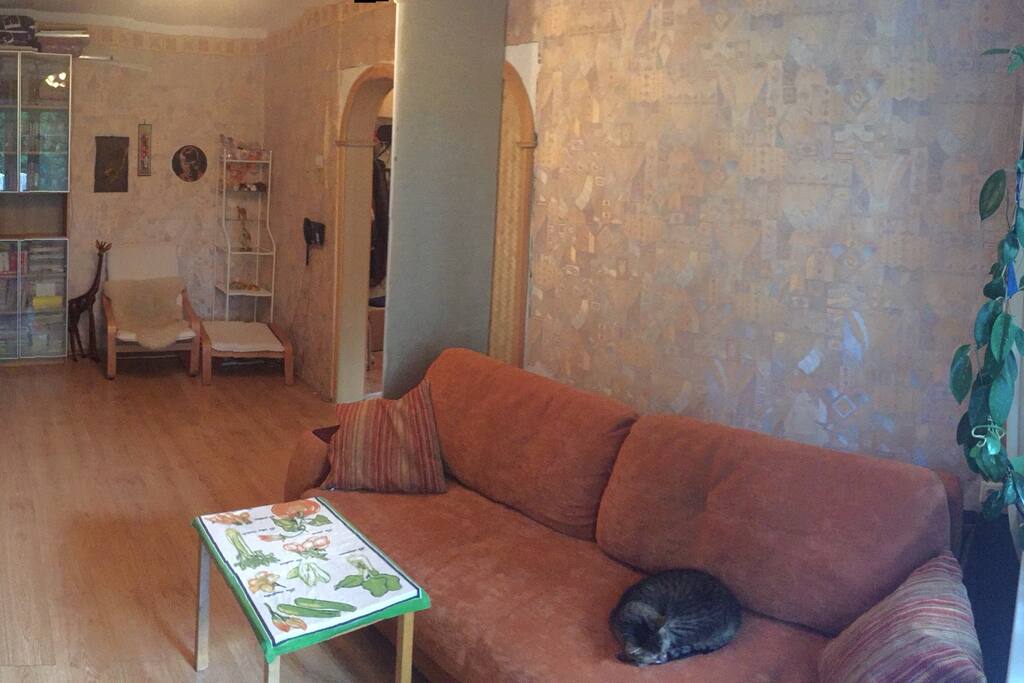Big room (view 6)