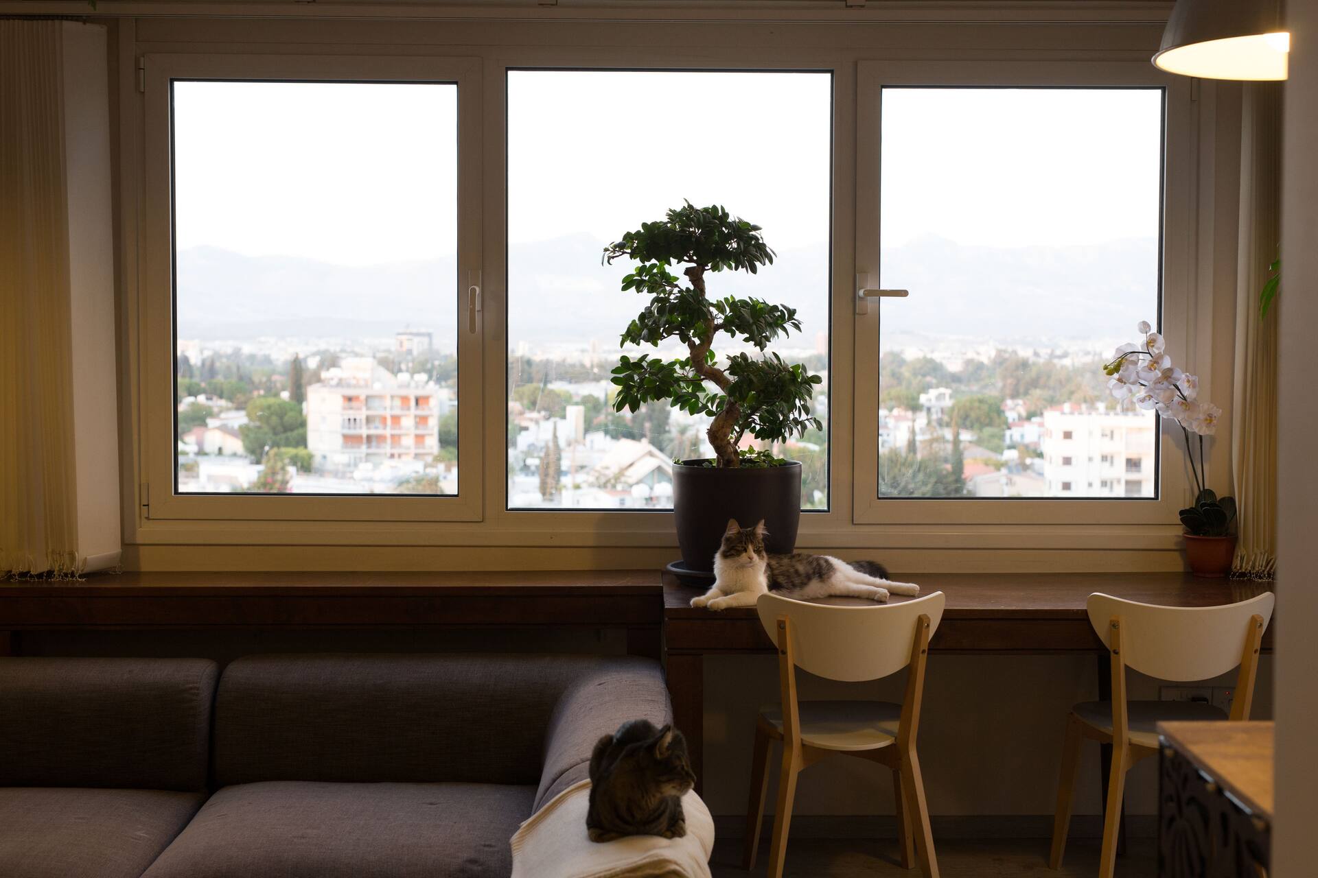 ★ Penthouse with a View | Nicosia Centre ★ — photo 2