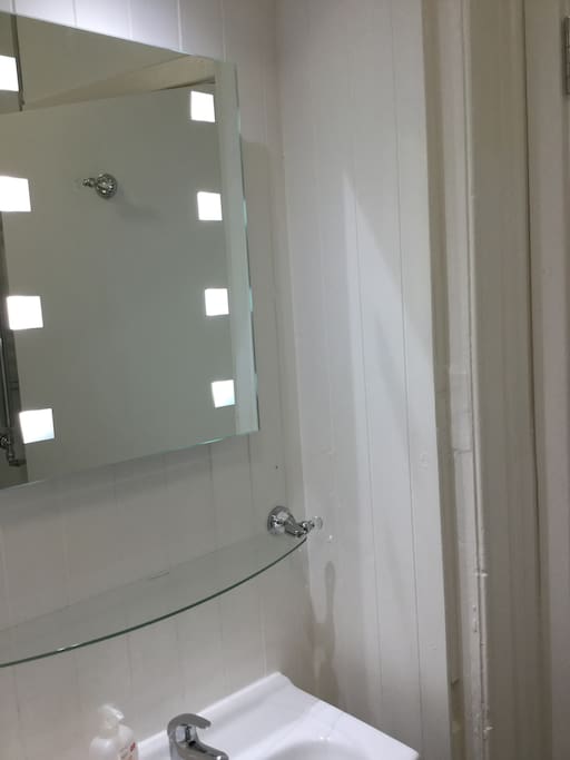 Steam free Illuminated Mirror