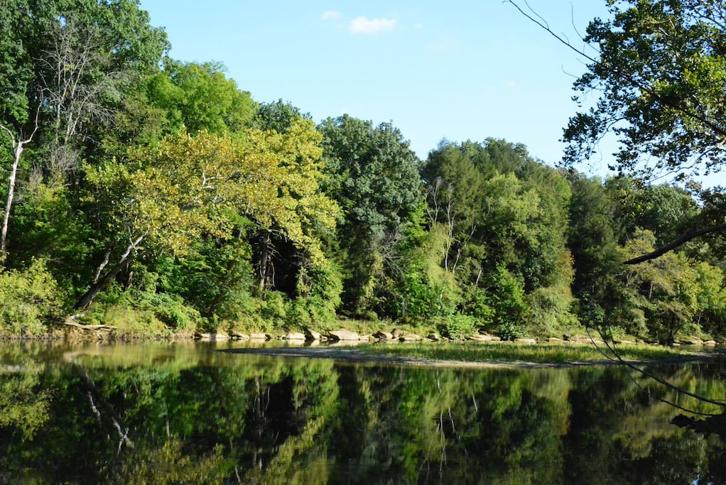 Great swimming area below the cabin.