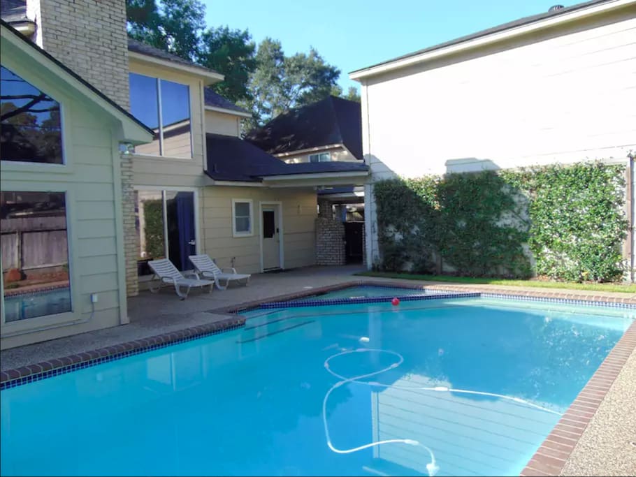 Backyard Oasis