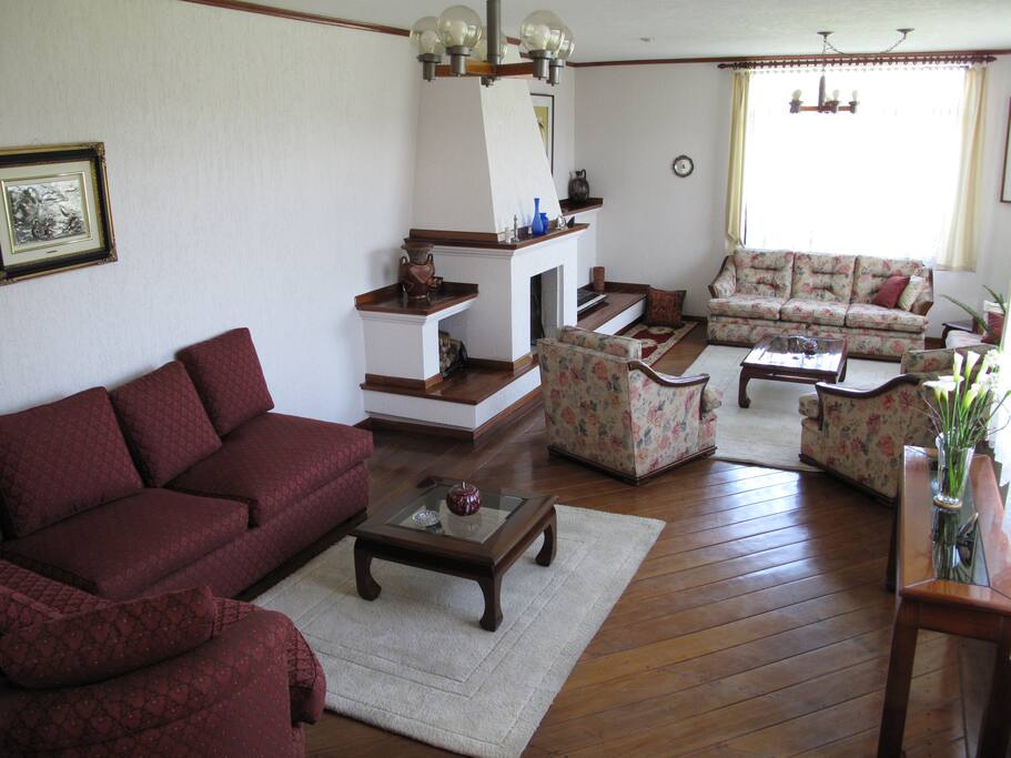 Sala de estar amoblada con chimenea
