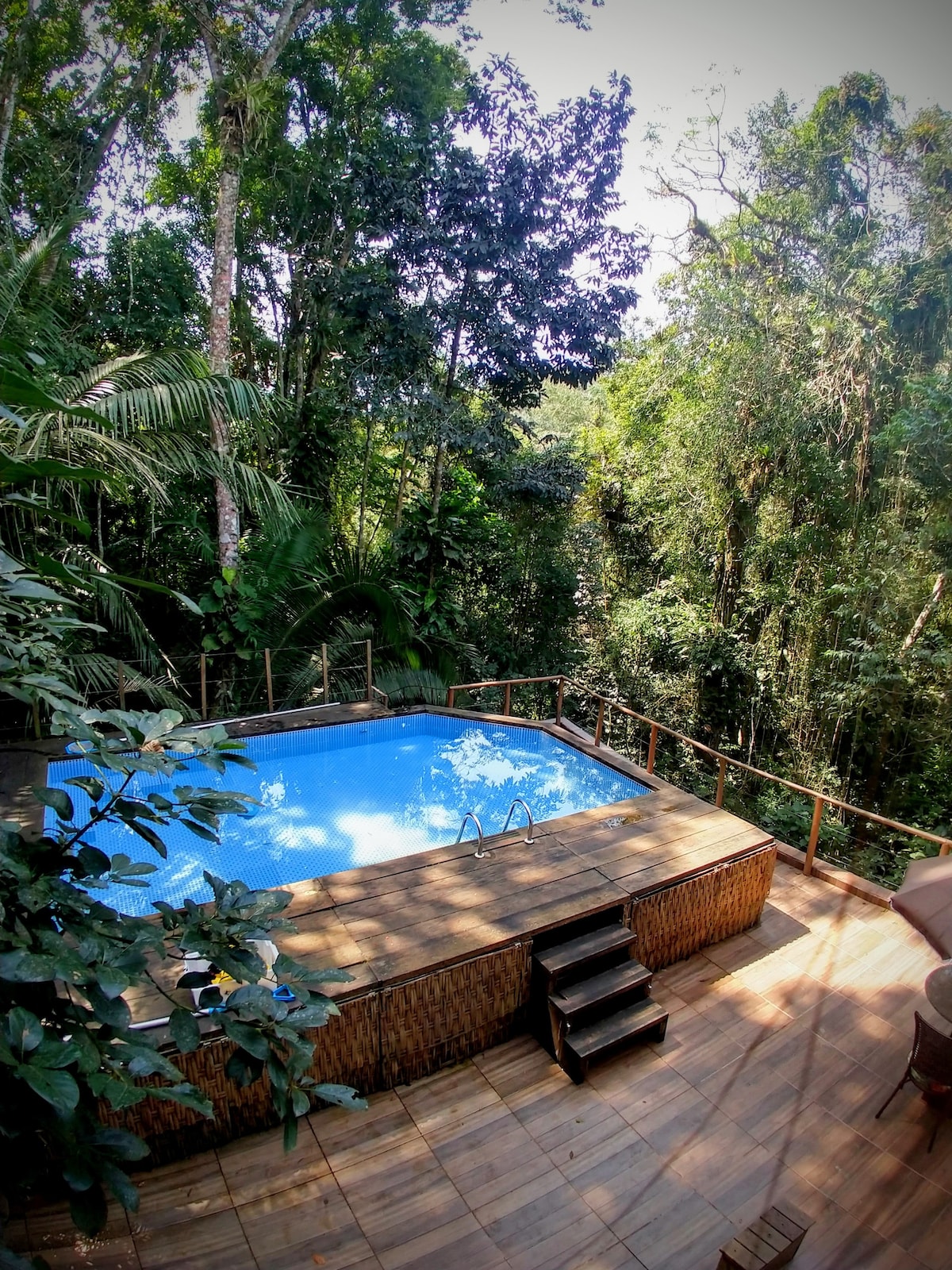A serene pool area is nestled among lush greenery, with a clear blue pool reflecting sunlight. Wooden decking surrounds the pool, complemented by steps leading down to the ground. Towering trees and dense foliage provide a tranquil, natural backdrop.